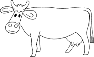cow