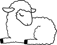 Sheep